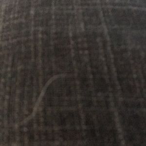 Meet your Posher, Hayden